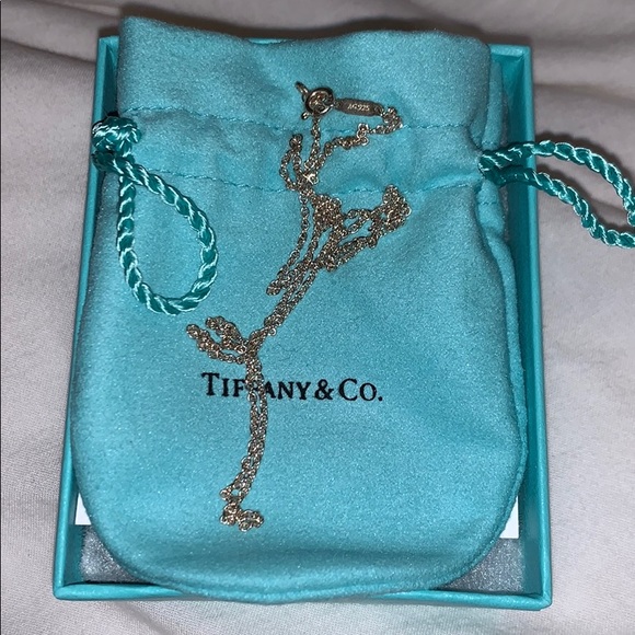 Tiffany & Co. Other - Tiffany Necklace